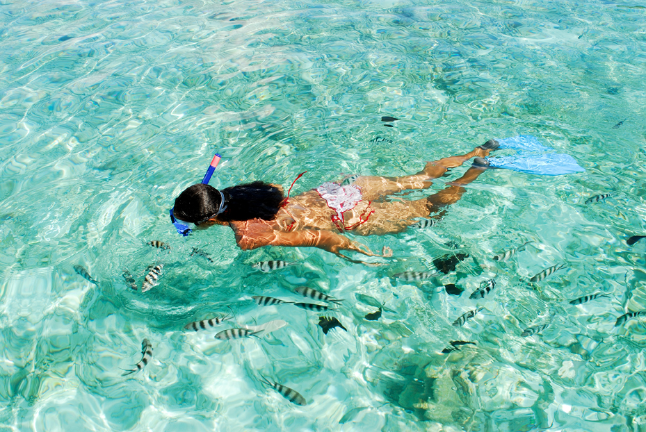 Snorkelling in Seychelles