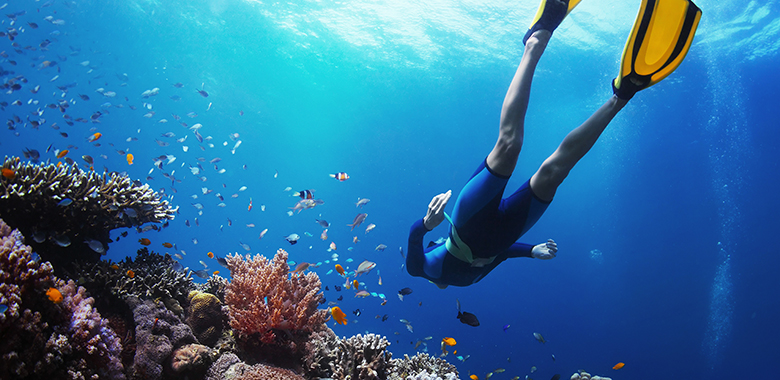 diving in Seychelles
